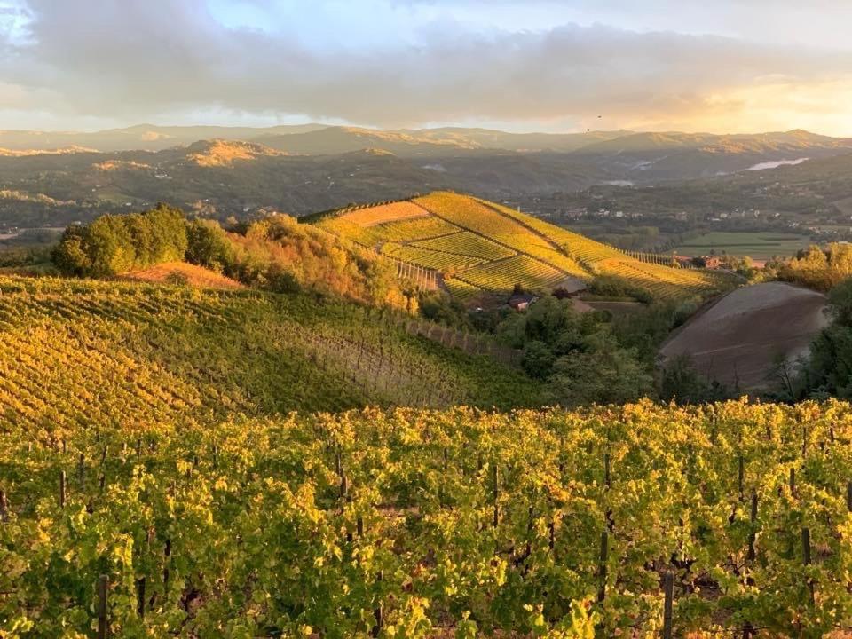Cascina Marcantonio Acqui Terme Bagian luar foto