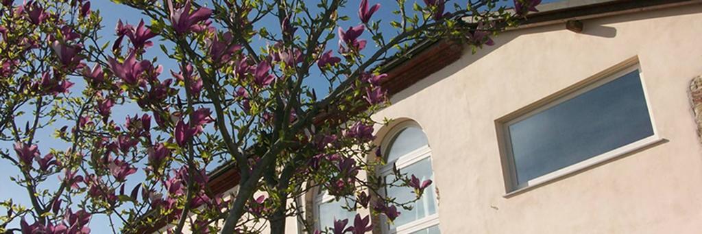 Cascina Marcantonio Acqui Terme Bagian luar foto