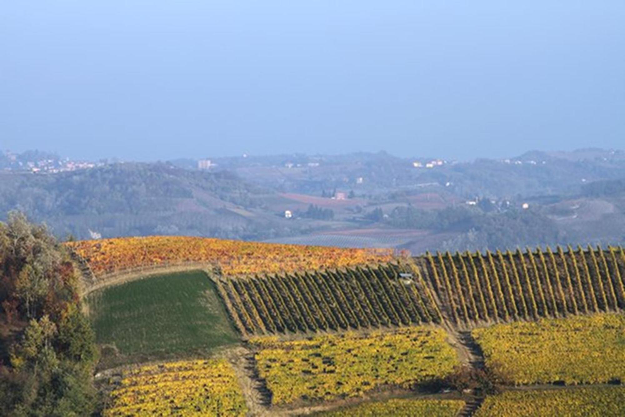 Cascina Marcantonio Acqui Terme Bagian luar foto